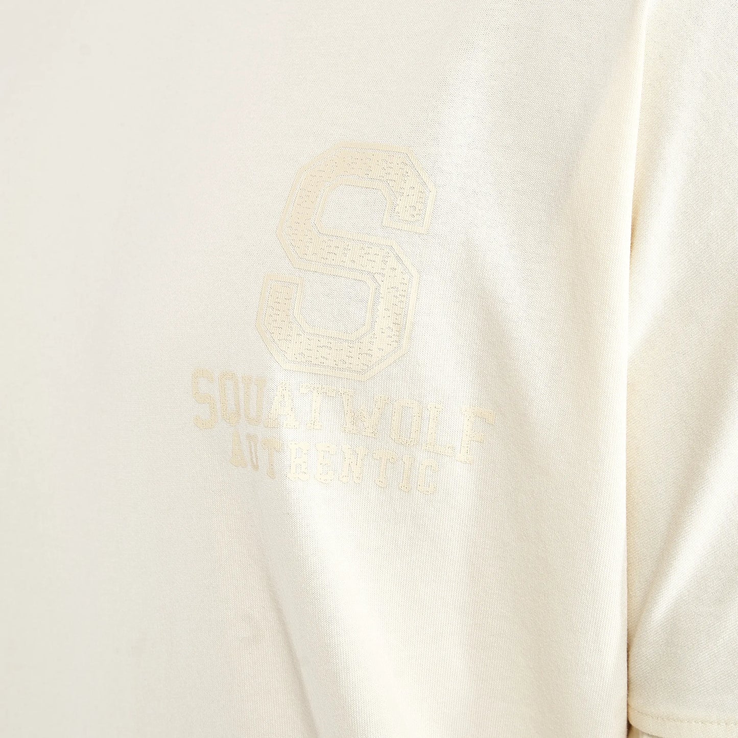 ستاي أوثنتيك تيشيرت فضفاض  - سكري