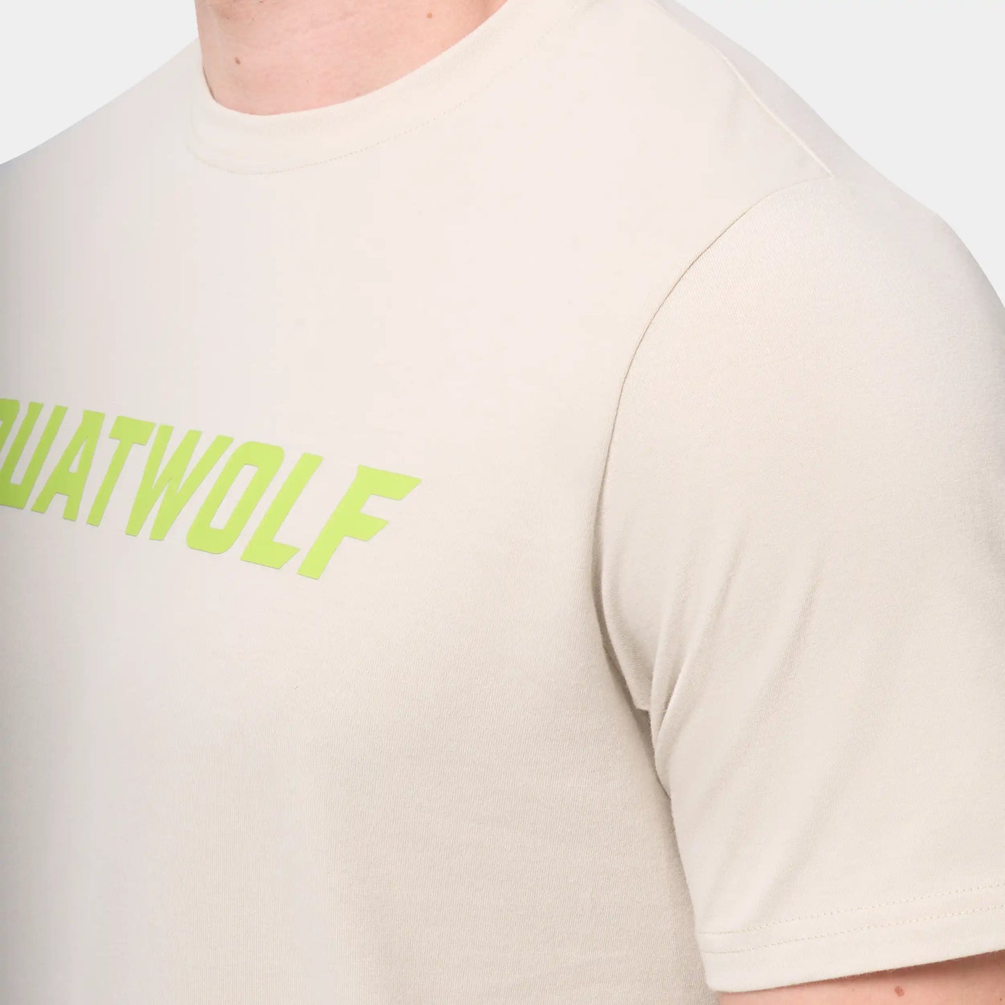 Wordmark Regular T-shirt - Silver Lining