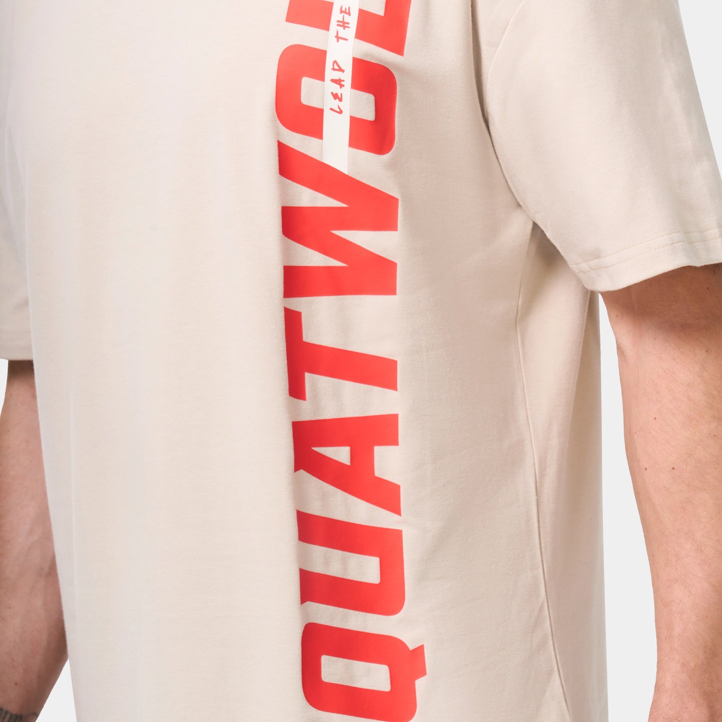 Core Oversize Graphic T-shirt - Silver Lining