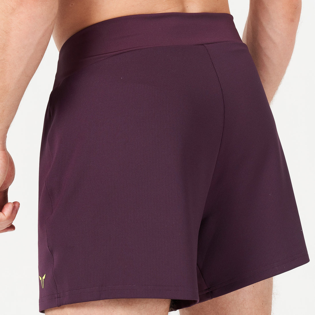 squatwolf-gym-wear-lab360-tdry-flex-shorts-plum-perfect-workout-short-for-men