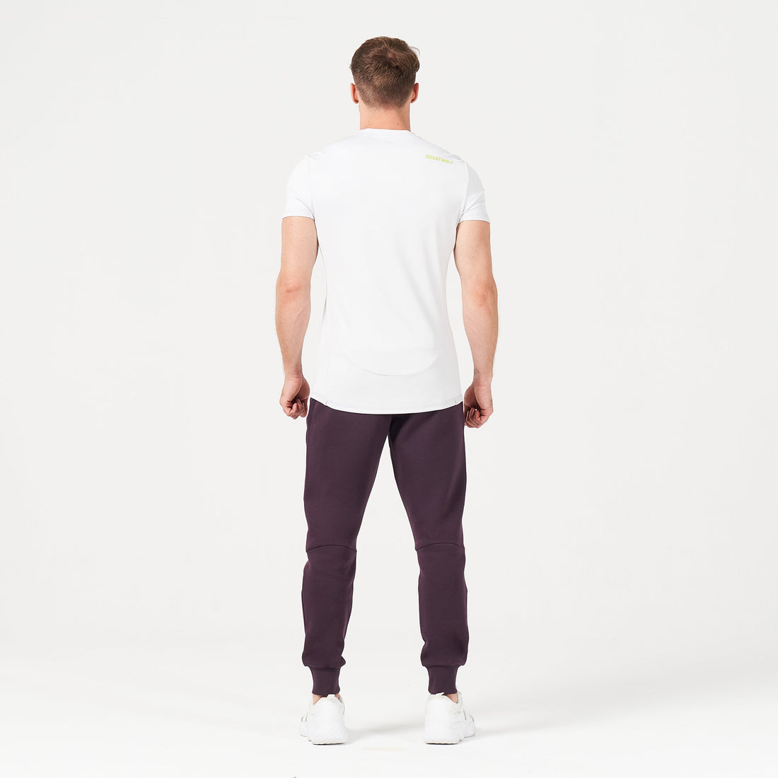 squatwolf-gym-wear-lab360-tdry-tee-lilac-hint-workout-shirts-for-men