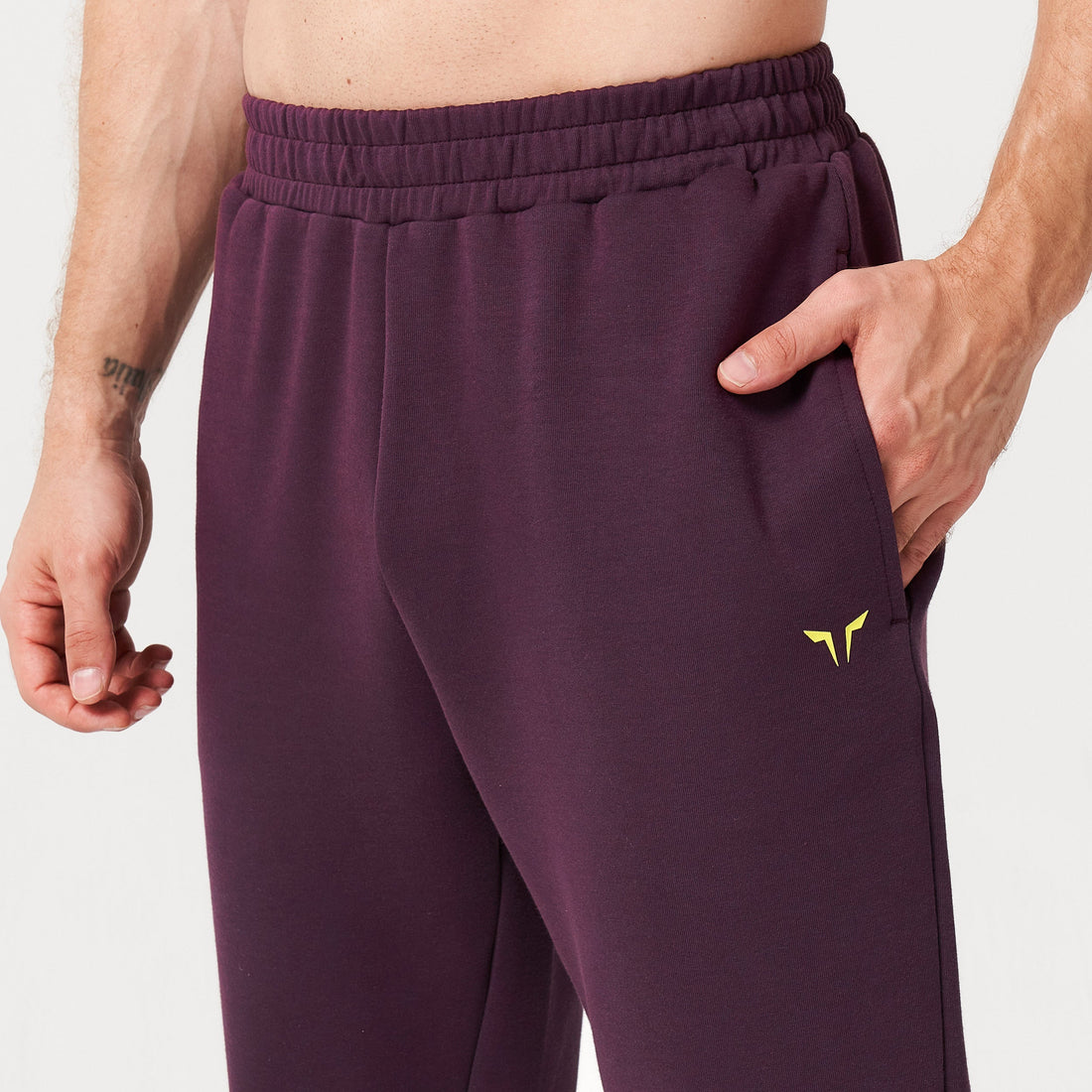 squatwolf-gym-wear-lab360-drylite-joggers-plum-perfect-workout-pants-for-men