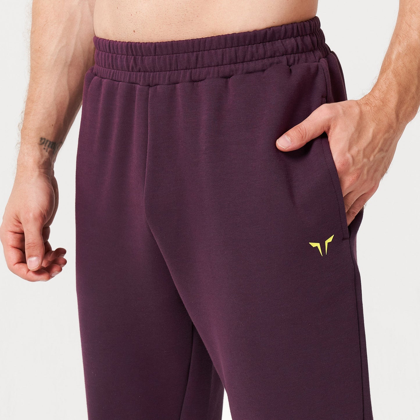 squatwolf-gym-wear-lab360-drylite-joggers-plum-perfect-workout-pants-for-men