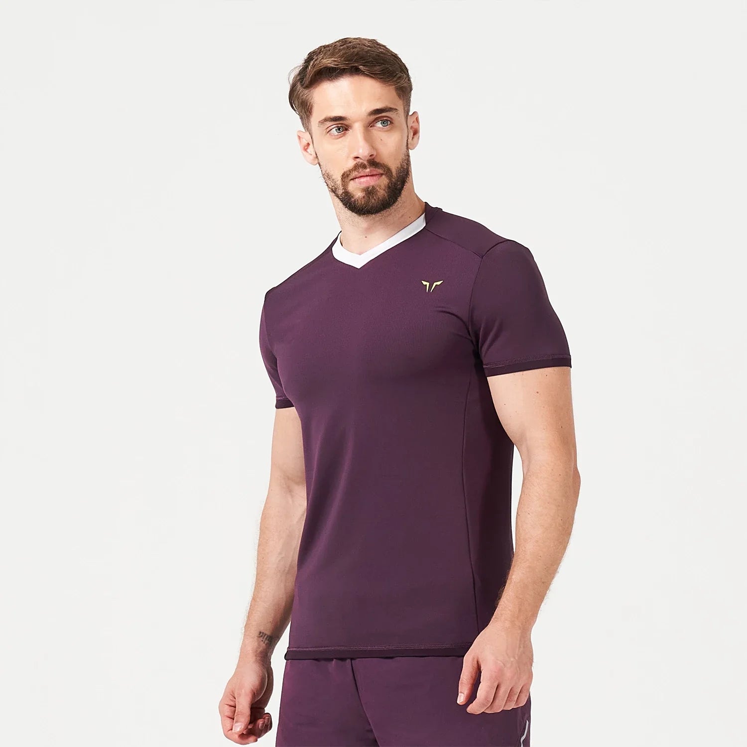 squatwolf-gym-wear-lab360-tdry-tee-plum-perfect-workout-shirts-for-men