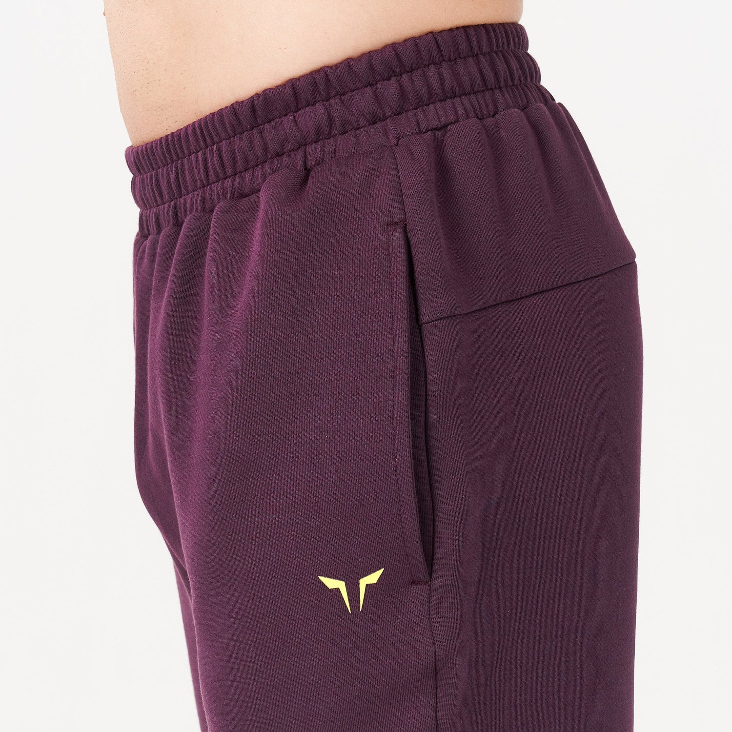 squatwolf-gym-wear-lab360-drylite-joggers-plum-perfect-workout-pants-for-men