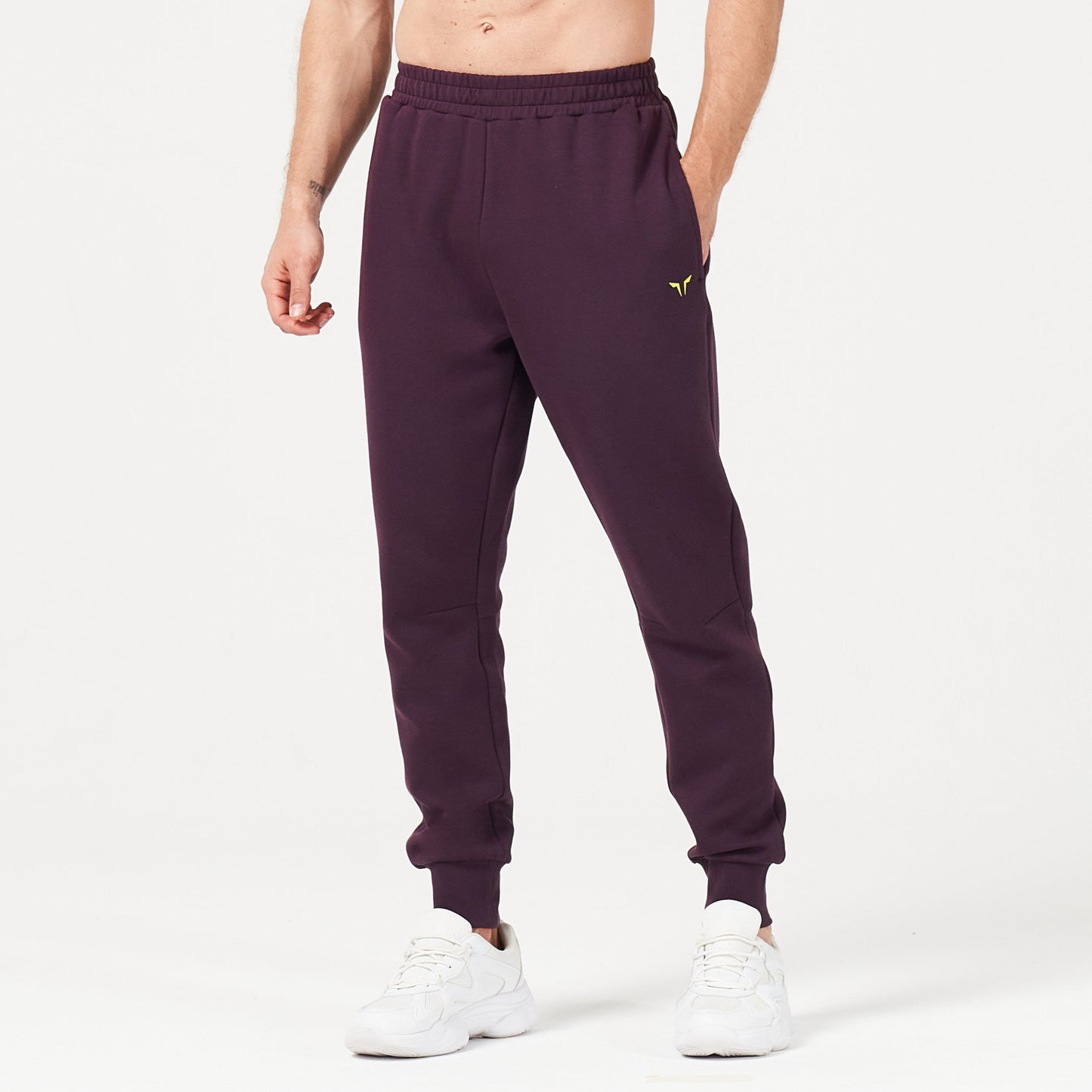 squatwolf-gym-wear-lab360-drylite-joggers-plum-perfect-workout-pants-for-men
